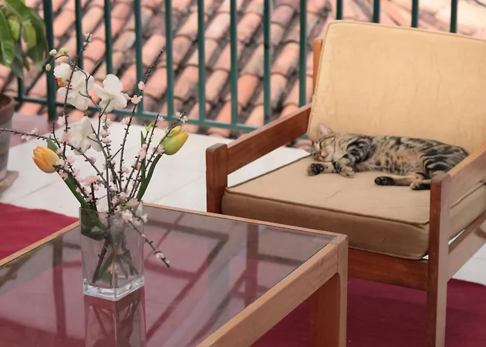 Lechugal Guest house *
